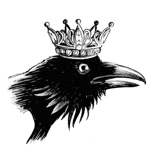 Crow bird in crown. Ink black and white drawing