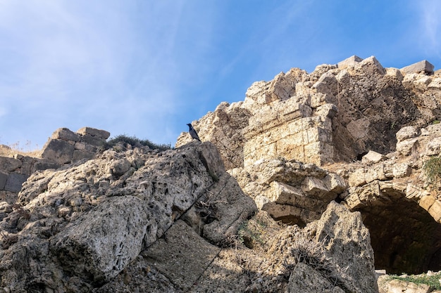 Il corvo si siede su una pietra di alcune antiche rovine contro il cielo