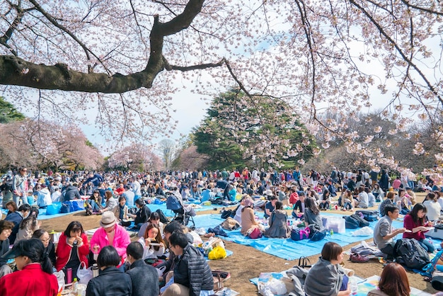 写真 公園の群衆