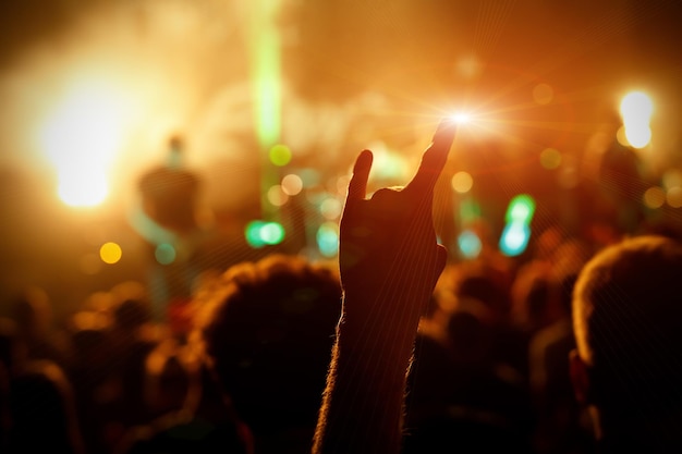 Crowd cheering at concert