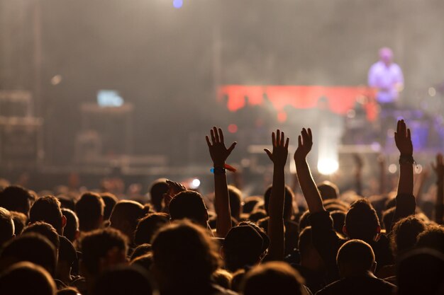 Crowd at concert summer music festival