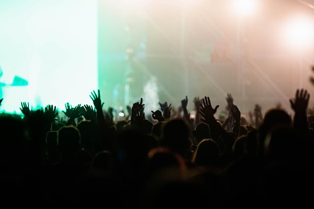 Crowd at concert summer music festival