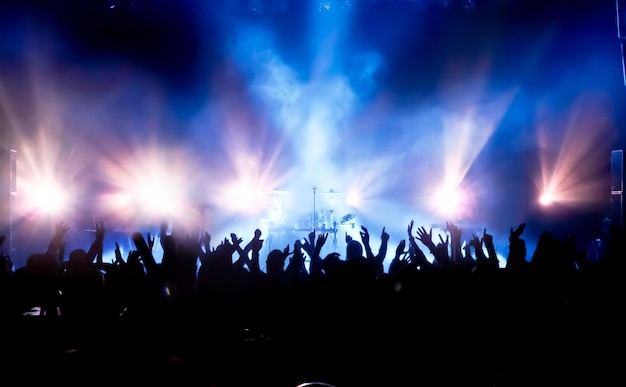 crowd enjoying at music concert at night