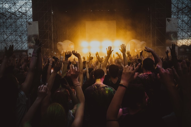 Crowd of fans at concert