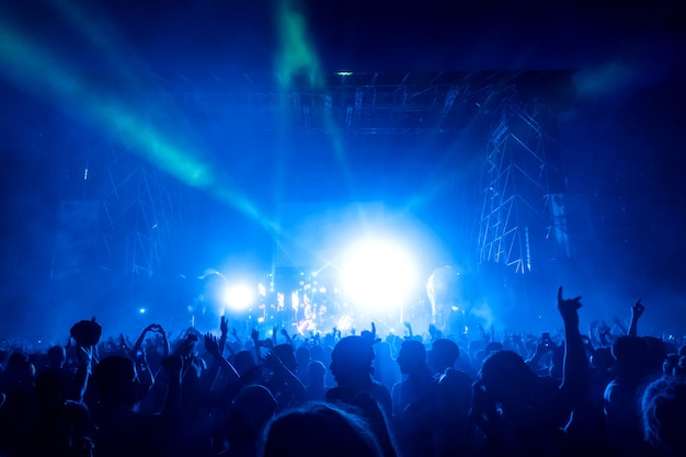 Crowd Of Fans At Concert