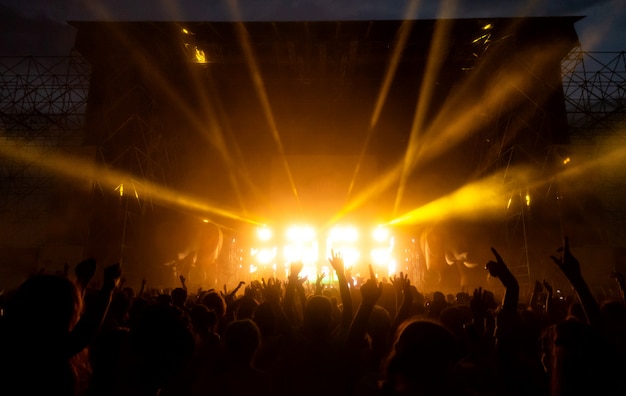 Crowd Of Fans At Concert