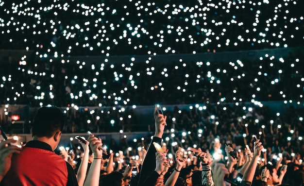 Foto folla al concerto musicale