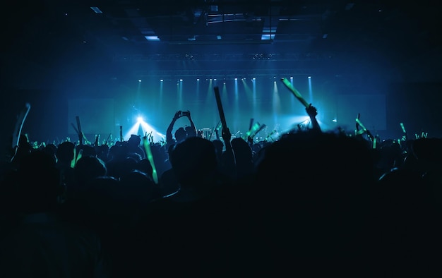 Photo crowd at music concert