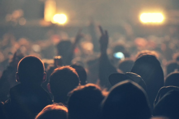 Foto folla al concerto musicale