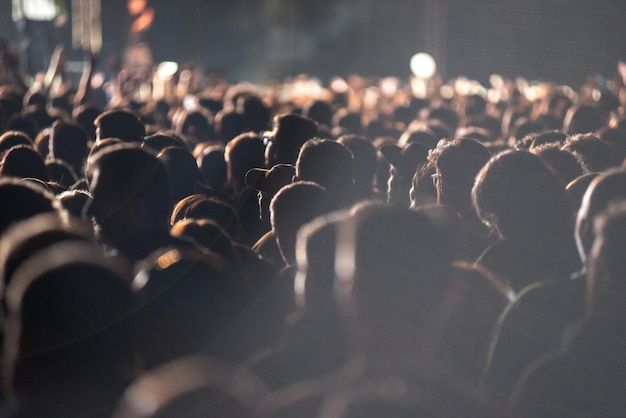 Foto folla al concerto musicale