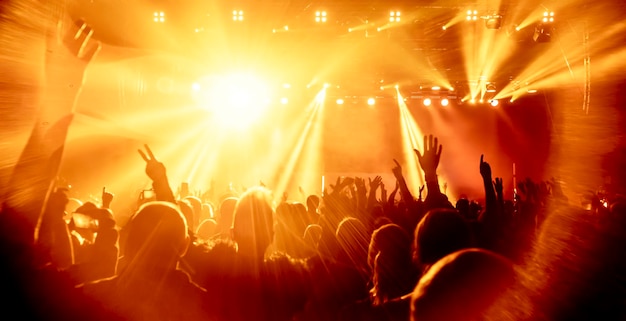 Crowd of people dancing in a concert