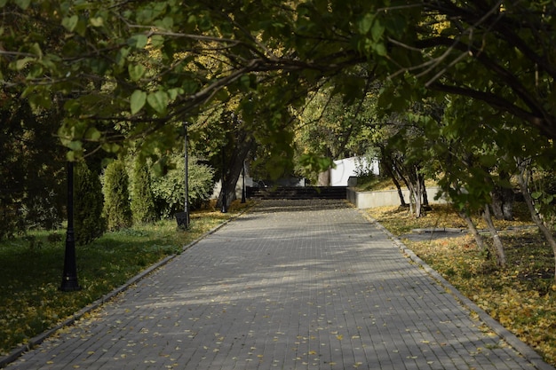 Crown Avenue Volga Embankment in Ulyanovsk Rusland Autum