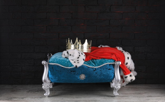 crown on a blue pillow