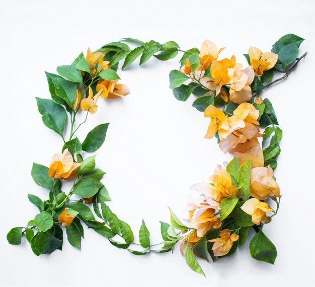 Crown of orange bougainvillea