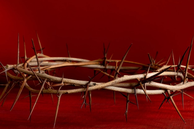 Crown thorn thorny red blood background close up