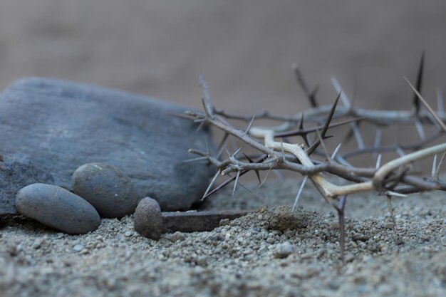 Crown of thorns and nails symbols of the christian crucifixion in easter