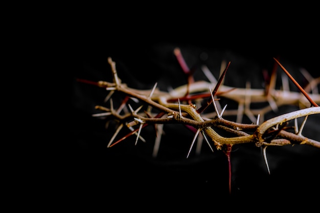 Photo crown of thorns and nails symbols of the christian crucifixion in easter