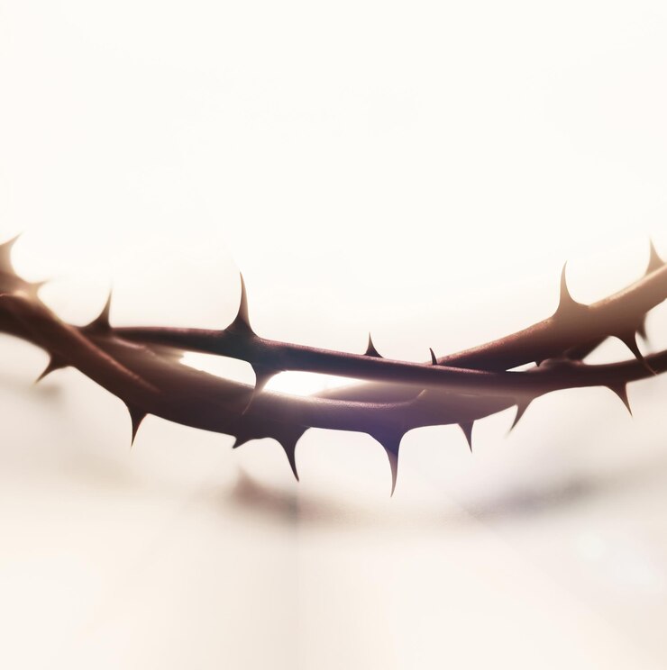 Photo crown of thorns symbolizing the sacrifice and suffering of jesus christ
