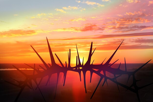 A crown of thorns with the sun setting behind it