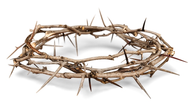 Crown of Thorns