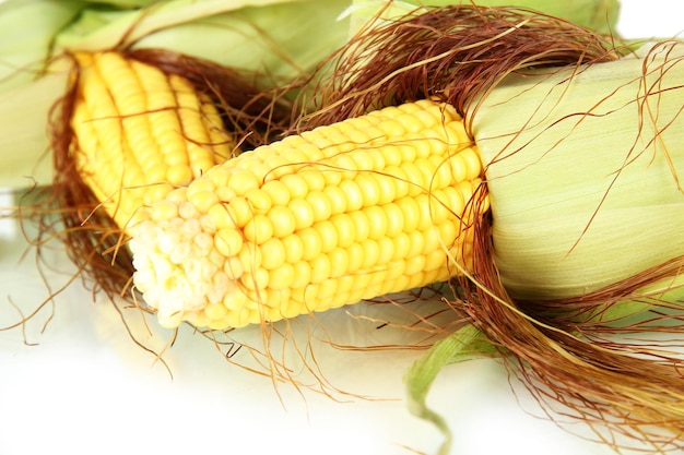 Crude corns isolated on white