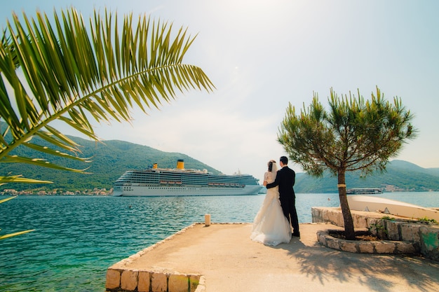 Cruise liner in the boka bay of kotor