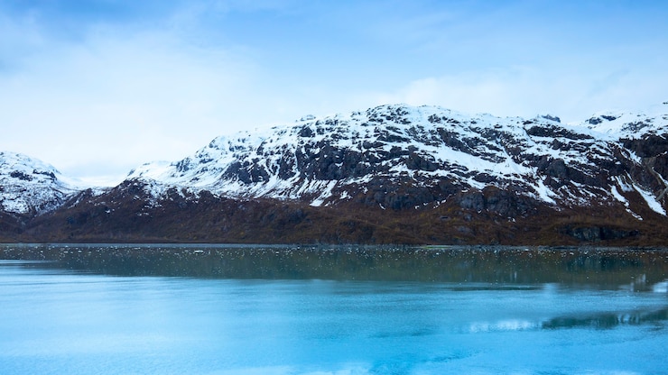 Foto cruise, zeilen, alaska, gletsjerbaai, nationaal park