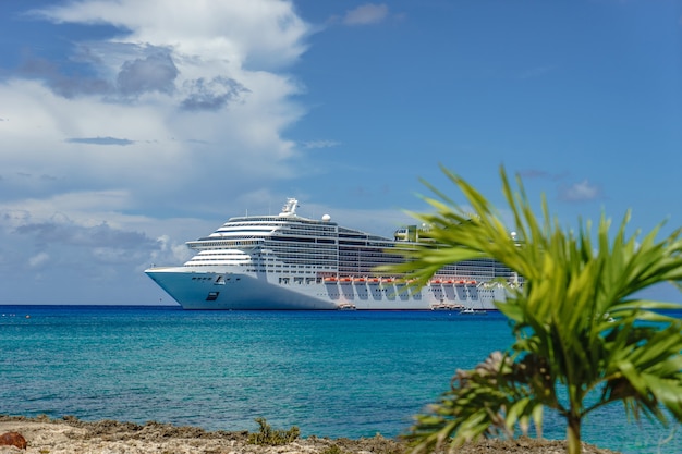 Cruiseschip in kristalblauw water met een palm aan de voorkant