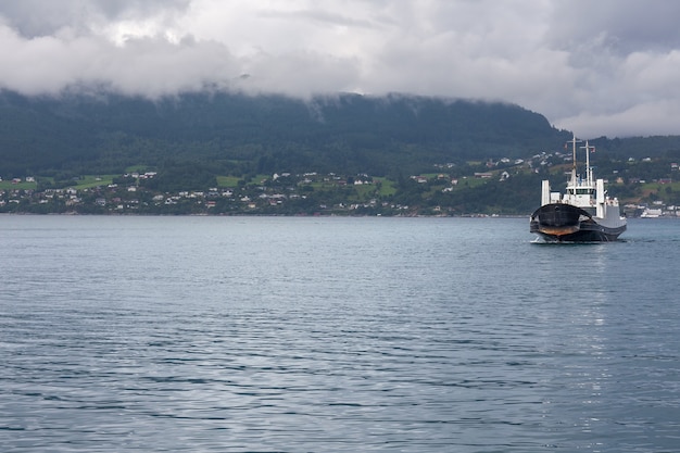 Cruiseschip om fjorden in Noorwegen te bezoeken