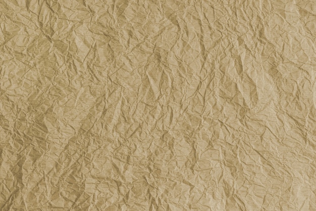 Crumpled parchment paper, background for design, copy space