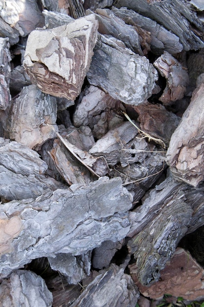 Crushed tree bark soil texture background closeup Pieces of grey and brown tree bark