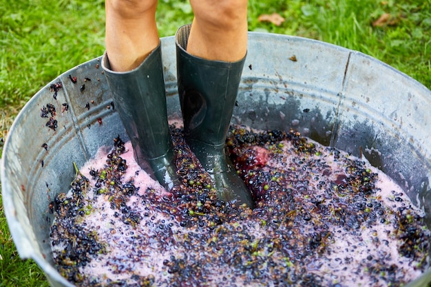 Crushing or press ripe grapes by fit in boots