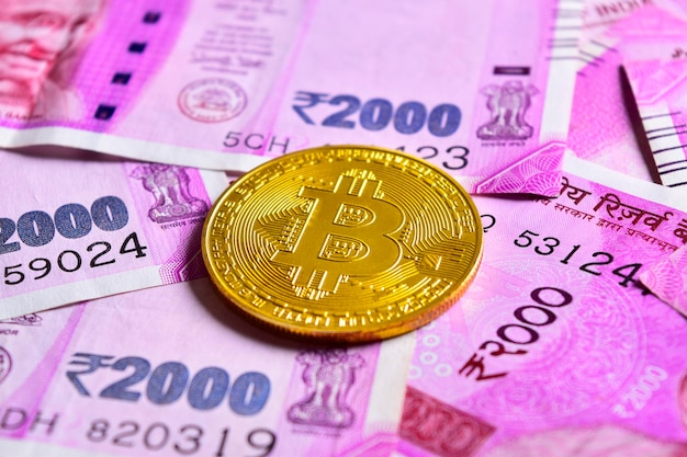 Cryprocurrency concept indiaas geld met bitcoin
