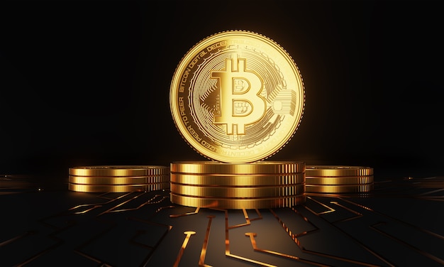 Cryptocurrency bitcoin the future coin