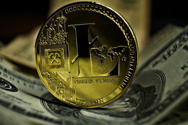 Cryptocurrency litetcoin coin laying on dollar banknote