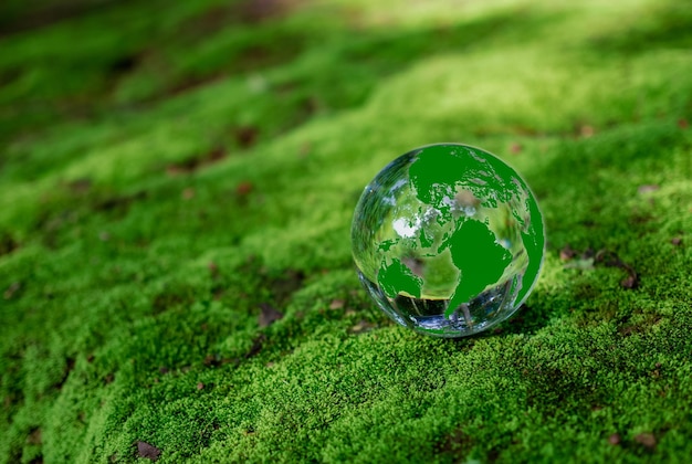 写真 緑の森の苔の上の水晶玉 環境コンセプト エコロジーと持続可能な環境