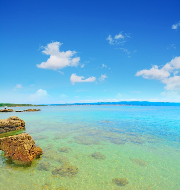 Crystal clear water in Alghero shoreline Sardinia