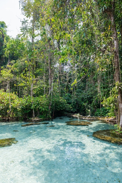 Crystal clear water at Ban Nam Rad watershed forest in Surat Thani