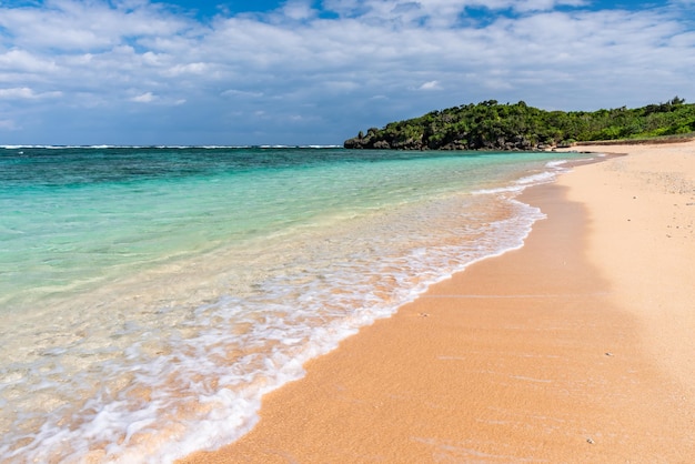 Photo crystal clear waves breaking along the shore on a idyllic beach on a sunny day