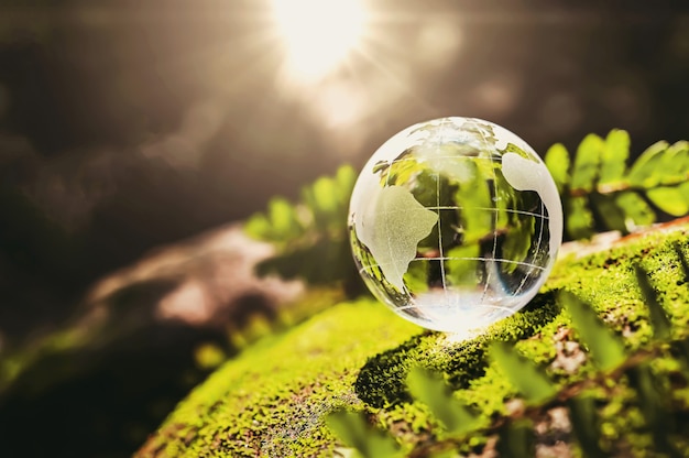 Crystal globe glass resting on moss stone with sunshine in nature forset. eco environment concept