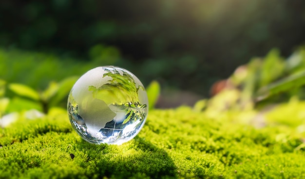 Crystal globe glass resting on moss stone with sunshine in nature forset. eco  environment concept