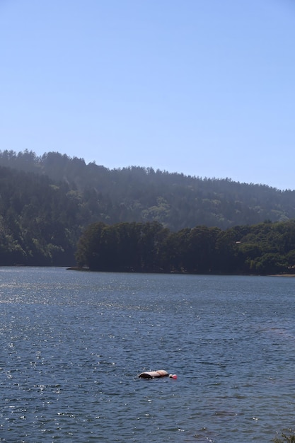 Crystal springs trail San Mateo California