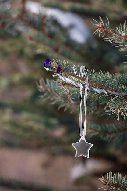 Crystal star decoration on Christmas tree outdoors Presents and decor elements Holidays concept