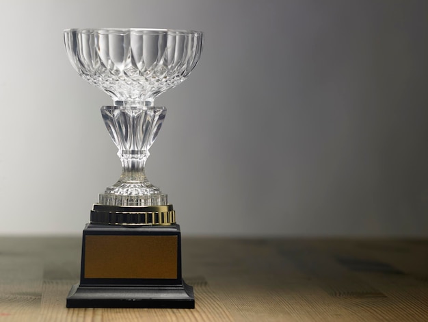 crystal trophy on the gray background