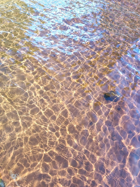 スウェーデンのサンフスジョン湖の水晶のように澄んだ水