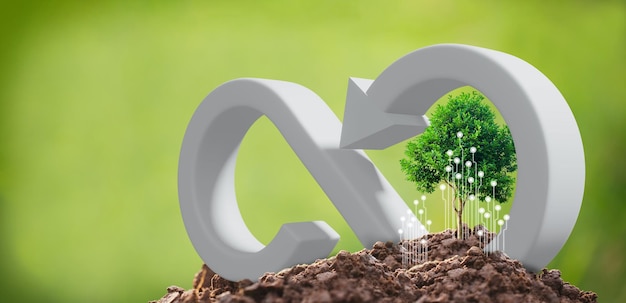 CSR concept tree with green economy