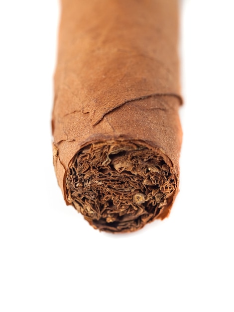 Cuban cigar closeup isolated over white background.