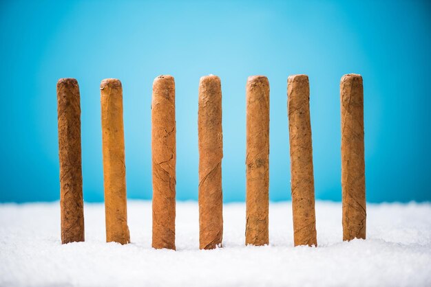 Cuban cigars in snow christmas gif idea