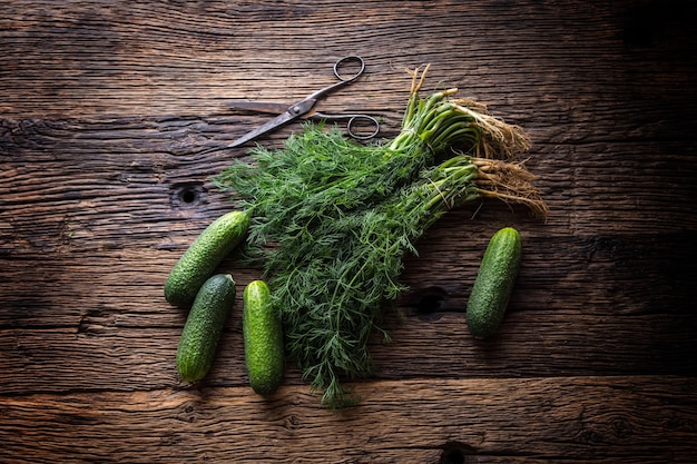 Cetriolo e aneto su un vecchio tavolo in rovere rustico.