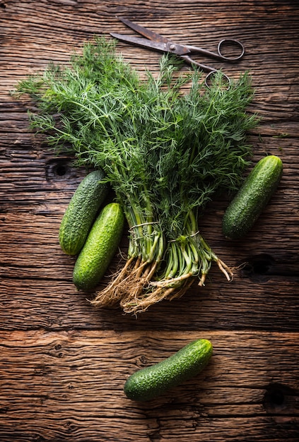 Cucumber and dill on very old rustic oak table.